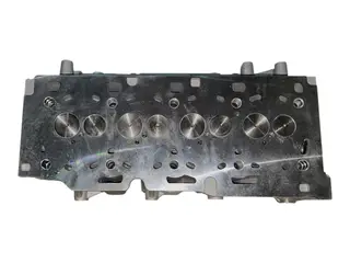 Головка блока цилиндров в сборе Renault K9K, OM607,OM608 110413019R