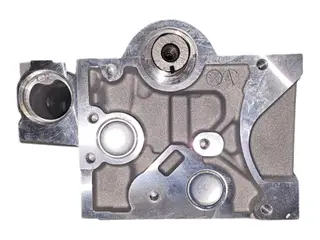 Головка блока цилиндров в сборе Renault K9K, OM607,OM608 110413019R