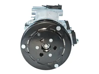 Компрессор кондиционера Haval Jolion F7 F7X 8103100XSY02B