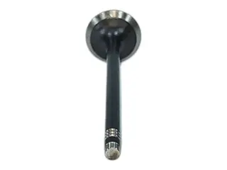 Клапан выпускной Chery Arrizo 8